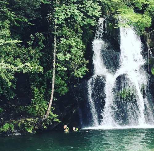 Two people swim near a waterfall surrounded by lush greenery.