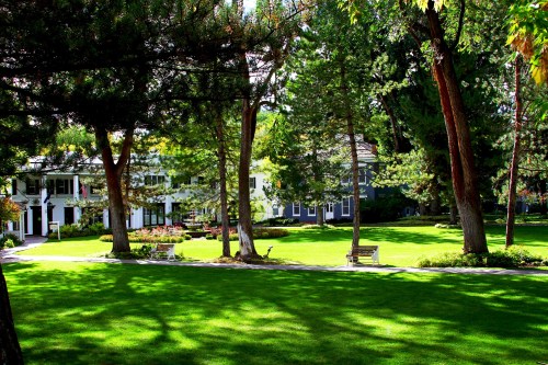 A lush green lawn surrounded by trees and buildings, creating a serene outdoor space.