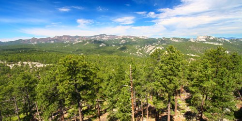 A panoramic view of lush green forests and distant mountains under a bright blue sky with scattered clouds.