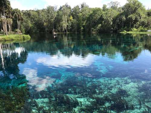 A serene, clear blue lake surrounded by lush greenery and trees, reflecting the sky and underwater vegetation.