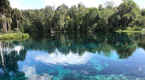 A serene blue spring surrounded by lush greenery and trees, reflecting the sky and foliage in the calm water.