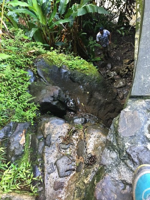 A rocky path leads down to a small stream, surrounded by lush green vegetation. A person stands in the background.