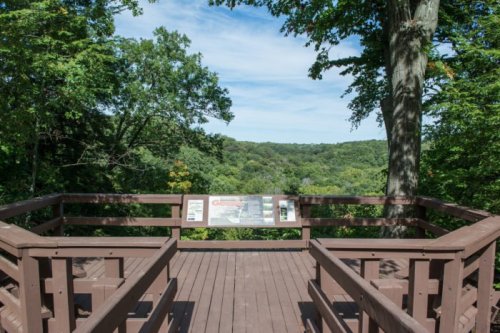 View from a wooden observation deck overlooking a lush green forest under a clear blue sky.