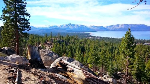 A scenic view of a forested landscape with mountains and a lake in the background under a clear blue sky.