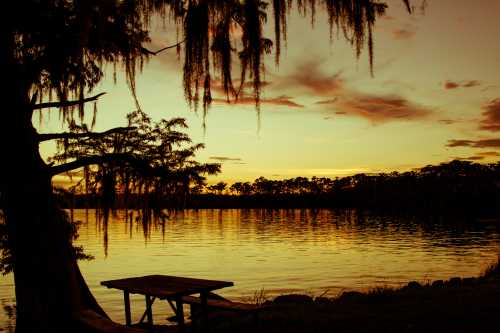 Silhouette of a tree and picnic table by a calm lake at sunset, with colorful clouds reflecting on the water.