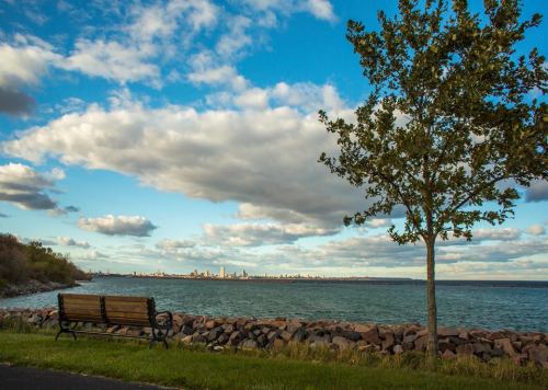 A serene lakeside view featuring a bench, a tree, and a skyline under a cloudy blue sky.