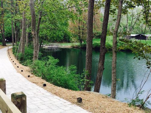 A serene path lined with trees beside a calm lake, surrounded by lush greenery.