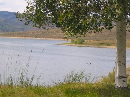 A serene lake surrounded by grassy banks and a tree, with distant hills under a partly cloudy sky.