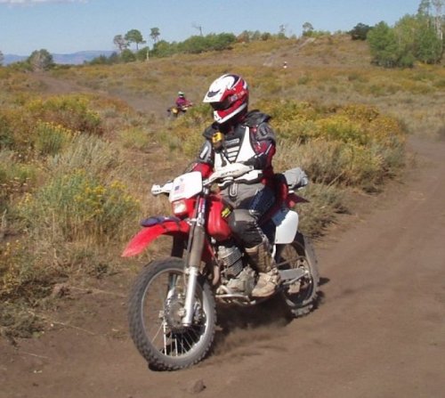 A person in protective gear rides a red dirt bike on a dirt trail surrounded by greenery and wildflowers.