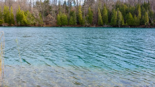 A serene lake with clear blue water, surrounded by lush green trees and a rocky shoreline.
