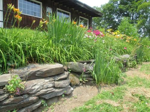 A vibrant flower garden with colorful blooms and lush greenery in front of a rustic wooden building.