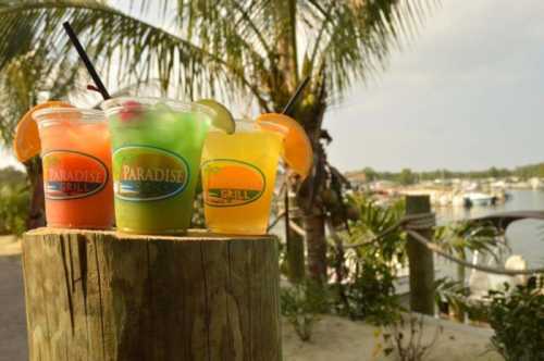 Three colorful cocktails sit on a wooden post, with a marina and palm trees in the background.