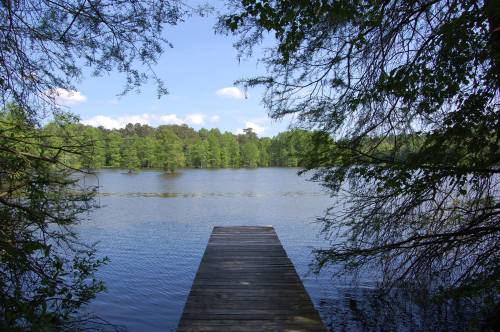 A wooden dock extends into a calm lake, surrounded by lush green trees under a clear blue sky.
