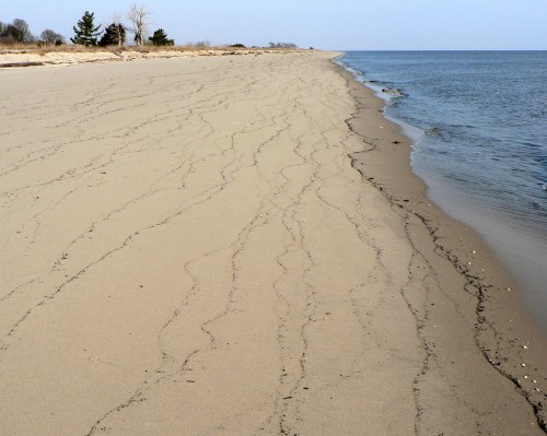 A sandy beach stretches along the shoreline, with gentle waves lapping at the edge and sparse trees in the background.