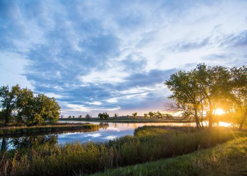 A serene landscape featuring a calm river, lush greenery, and a sunset illuminating the sky with clouds.