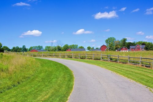 A winding road through a green field, leading to red barns under a clear blue sky with fluffy clouds.