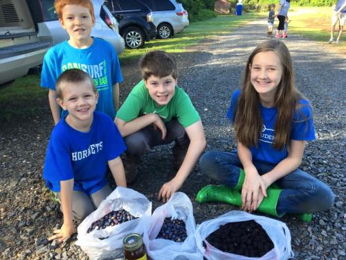Four children sit on a gravel path, smiling and surrounded by bags of blueberries and blackberries.