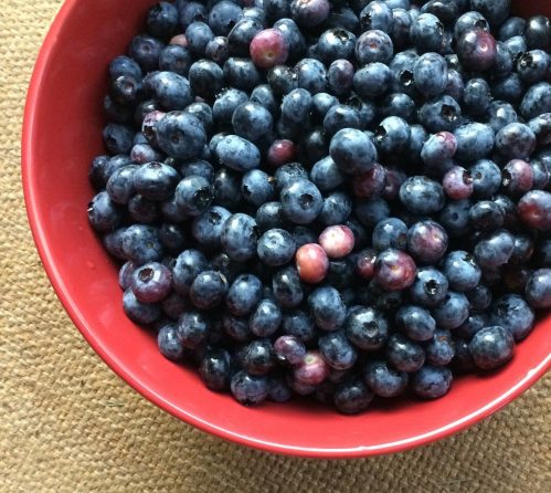 A red bowl filled with fresh, plump blueberries on a textured surface.