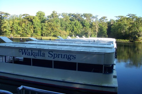 Boats lined up at Wakulla Springs, surrounded by lush greenery and calm waters under a clear blue sky.