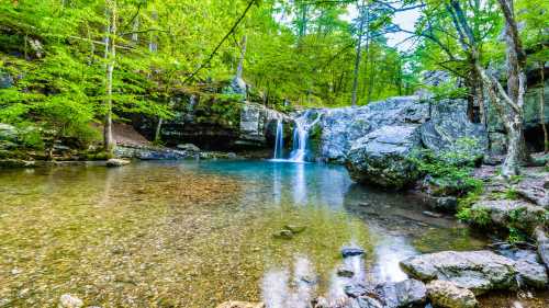 A serene forest scene featuring a waterfall cascading into a clear pool surrounded by lush green trees and rocky terrain.