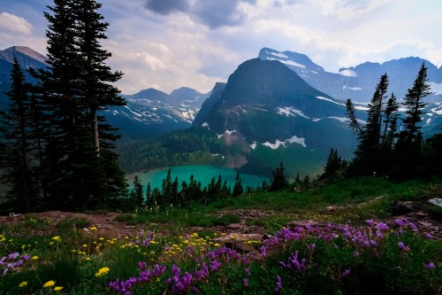 A scenic view of mountains and a turquoise lake, surrounded by lush greenery and colorful wildflowers in the foreground.