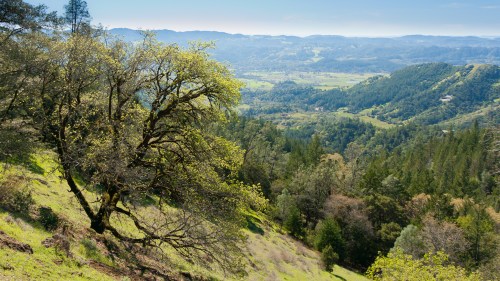 A scenic view of rolling hills and valleys, with lush greenery and a clear blue sky in the background.
