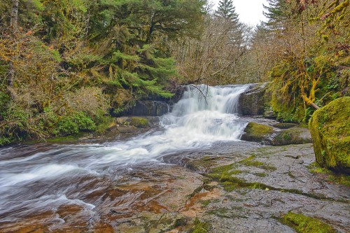 A serene waterfall cascades over rocks, surrounded by lush greenery and trees in a tranquil forest setting.