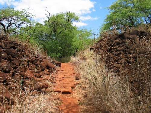 A dirt path flanked by rocky walls and dry grass, leading through a lush green landscape under a blue sky.