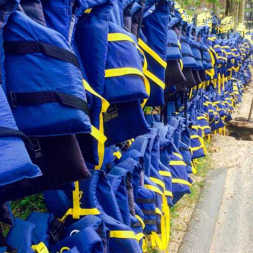 A row of blue and yellow life jackets neatly arranged along a pathway by the water.