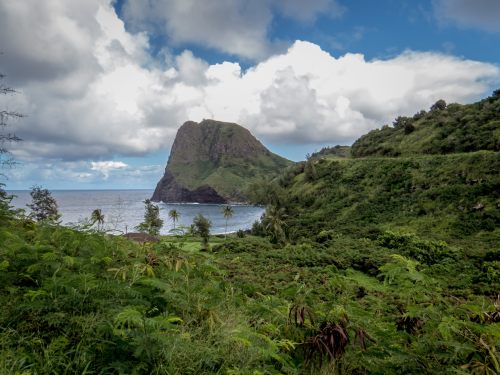 Lush green landscape with a rocky cliff overlooking the ocean under a partly cloudy sky.