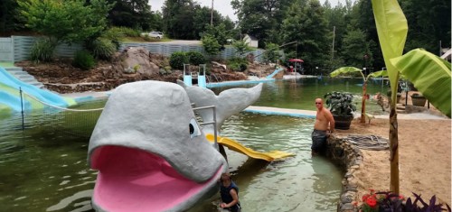 A whimsical whale sculpture by a pool with water slides, surrounded by greenery and people enjoying the area.