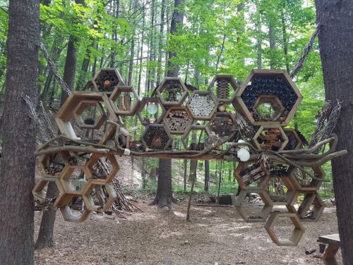 A wooden structure resembling honeycombs, filled with natural materials, set in a lush forest environment.