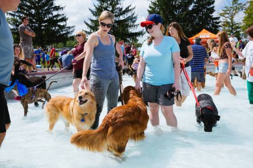 Two women wade in shallow water with dogs at a lively outdoor event, surrounded by people and trees.