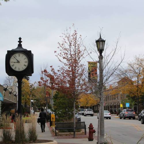 A street scene featuring a clock tower, trees with autumn leaves, and parked cars along a sidewalk.