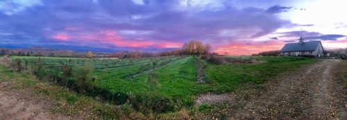 A panoramic view of a vibrant sunset over a green field and a rustic building, surrounded by trees and mountains.