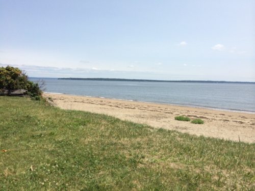 A serene beach scene with sandy shore, gentle waves, and a clear blue sky in the background. Green grass in the foreground.