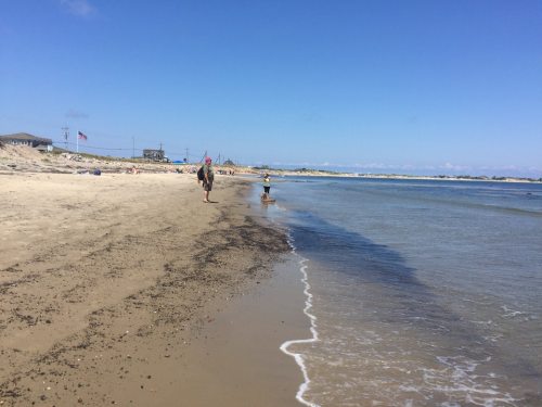 A sandy beach with a person walking alongside a dog near the water under a clear blue sky.