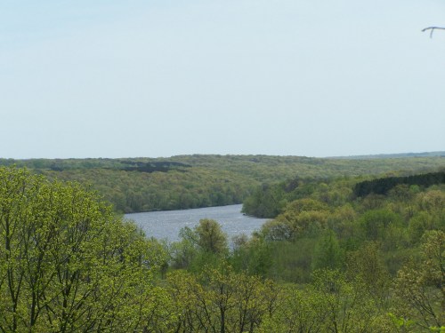 A serene river winding through lush green forests under a clear sky.