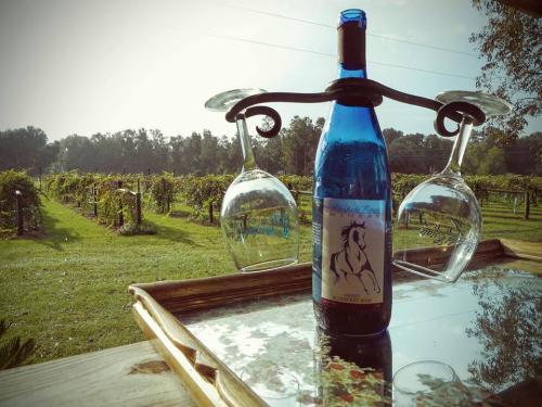 A blue wine bottle with a horse label, flanked by two glasses, set on a tray in a vineyard.