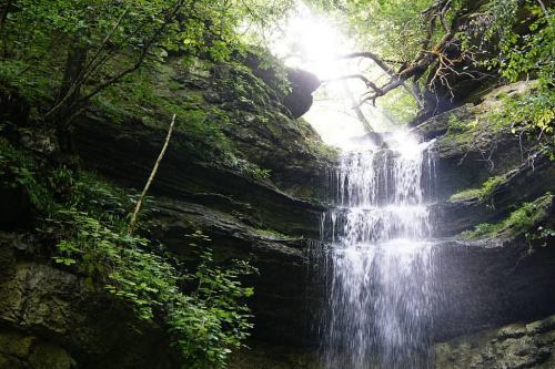 A serene waterfall cascading down moss-covered rocks, surrounded by lush green foliage and dappled sunlight.