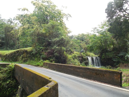 A serene landscape featuring a small waterfall beside a winding road, surrounded by lush greenery and trees.