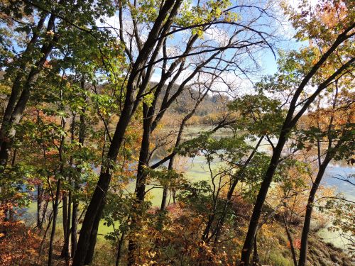 A scenic view of a river surrounded by trees with vibrant autumn foliage under a clear blue sky.