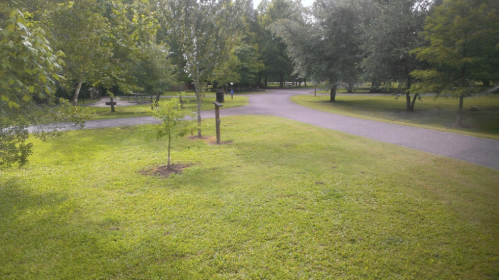 A peaceful park scene with green grass, trees, and winding pathways under a clear sky.