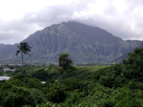Lush green landscape with palm trees in the foreground and a majestic mountain shrouded in clouds in the background.