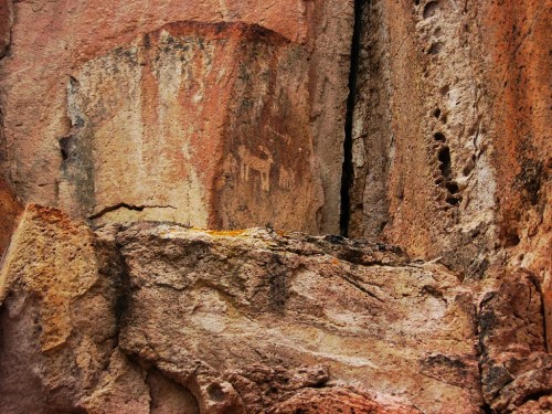 Ancient rock art depicting a deer on a textured, weathered stone surface.