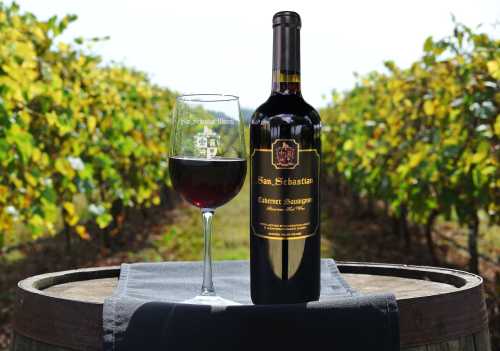 A bottle of San Sebastian Cabernet Sauvignon and a glass of red wine on a barrel, with vineyards in the background.