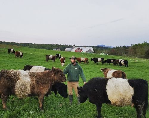 A farmer stands among cows in a green field, with a barn and mountains in the background during sunset.