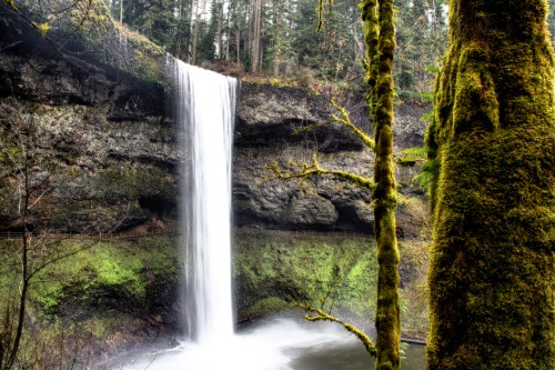 A serene waterfall cascades down rocky cliffs, surrounded by lush greenery and moss-covered trees.