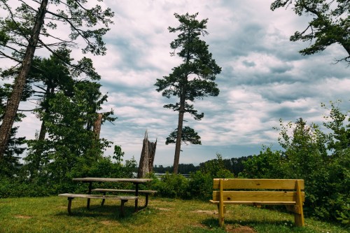A picnic table and a wooden bench surrounded by trees under a cloudy sky near a body of water.