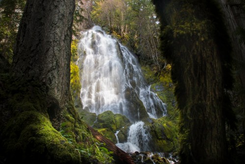 A serene waterfall cascades down moss-covered rocks, surrounded by lush green trees in a tranquil forest setting.